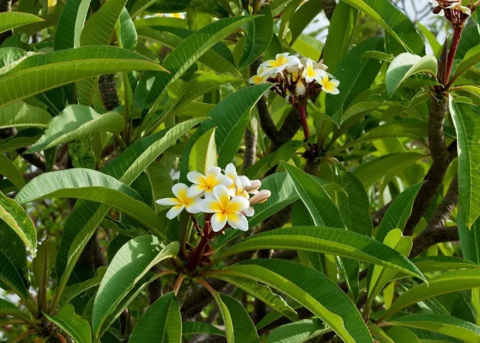 Melenos Art Boutique 호텔 5*