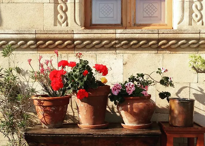 Hotel Melenos Art Boutique 5*